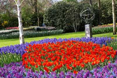 keukenhof-day1/keukenhof-8643-web.jpg