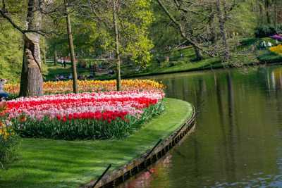 keukenhof-day1/keukenhof-8758-web.jpg