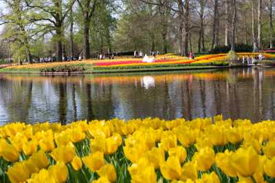 keukenhof-day1/keukenhof-8789-web.jpg