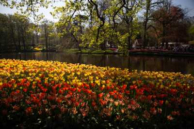 keukenhof-day2/keukenhof-9160-web.jpg