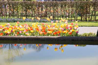 keukenhof-day2/keukenhof-9324-web.jpg