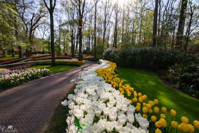 keukenhof2019/_MG_8697-web.jpg