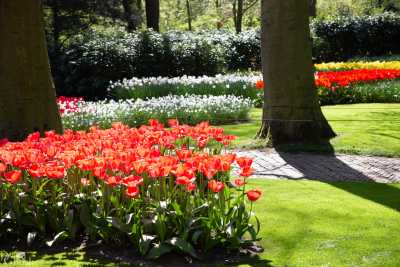 keukenhof2019/_MG_8989-web.jpg