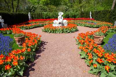 keukenhof2019/_MG_9067-web.jpg