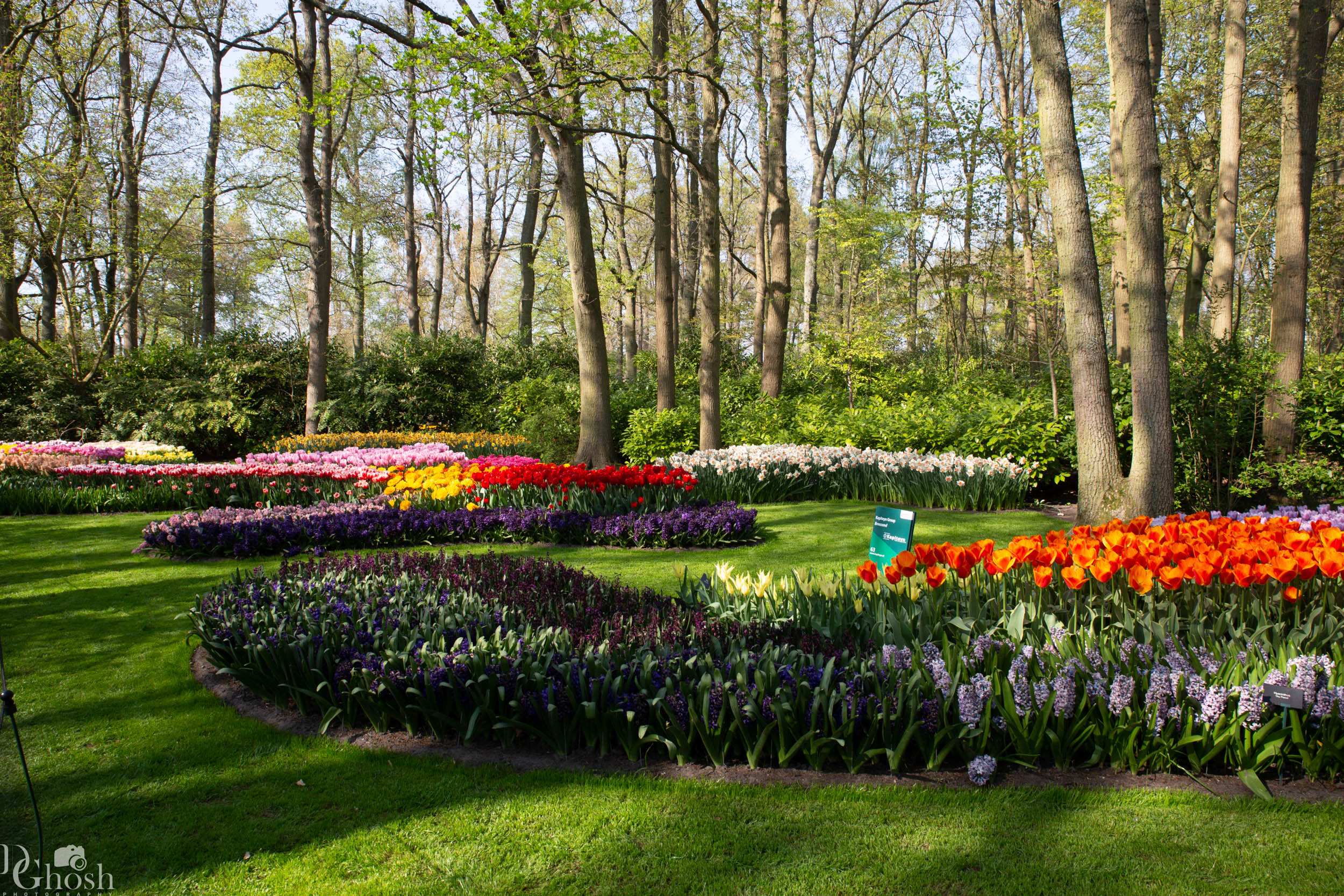 keukenhof2019/_MG_9331-web.jpg