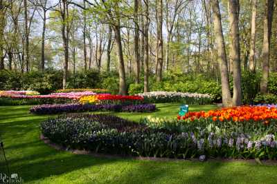 keukenhof2019/_MG_9331-web.jpg