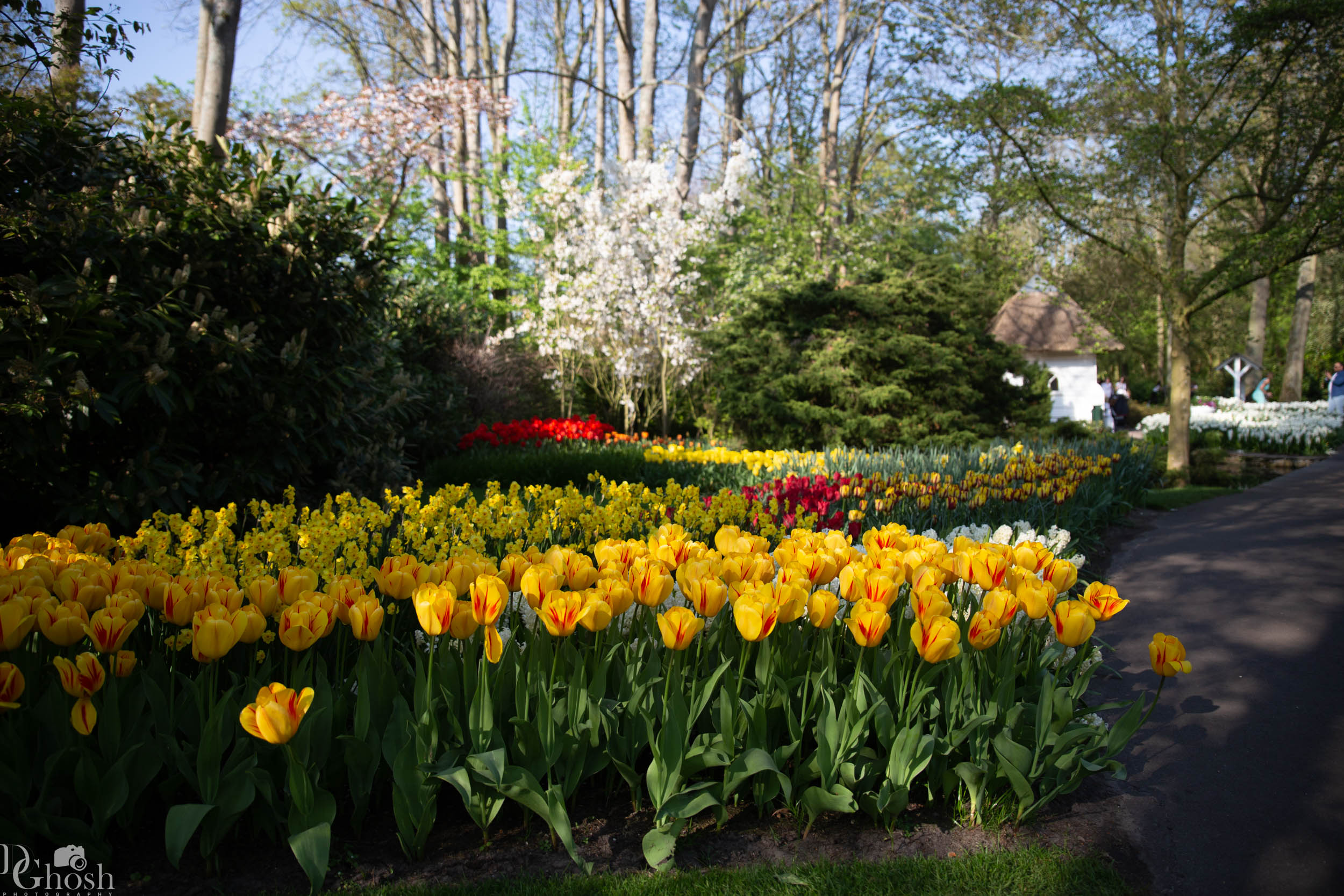 keukenhof2019/_MG_9401-web.jpg