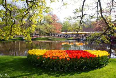 keukenhof2019/_MG_9555-web.jpg