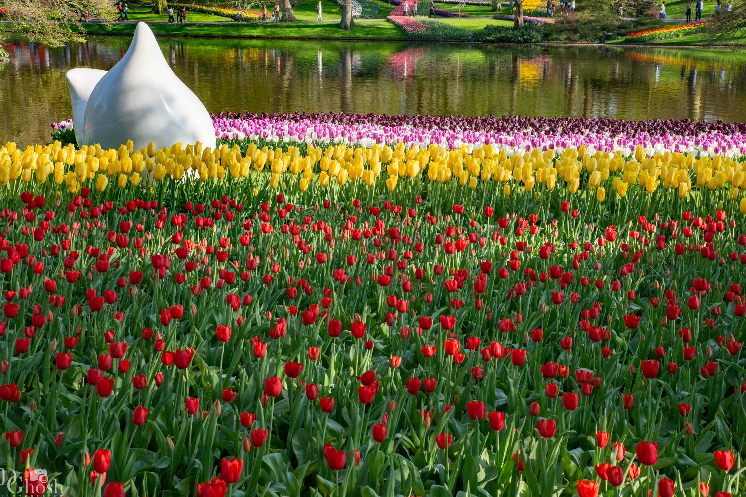 keukenhof2019/_MG_9569-web.jpg