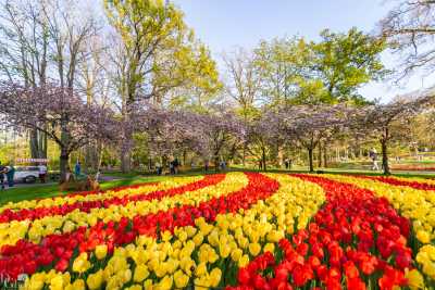 keukenhof2019/_MG_9665-web.jpg