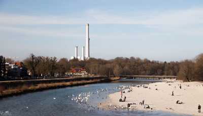 tierpark_swans-011.jpg