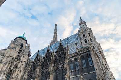 vienna-3672-web.jpg