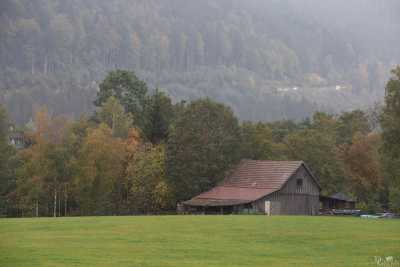 2020-10-06-_MG_5436.jpg