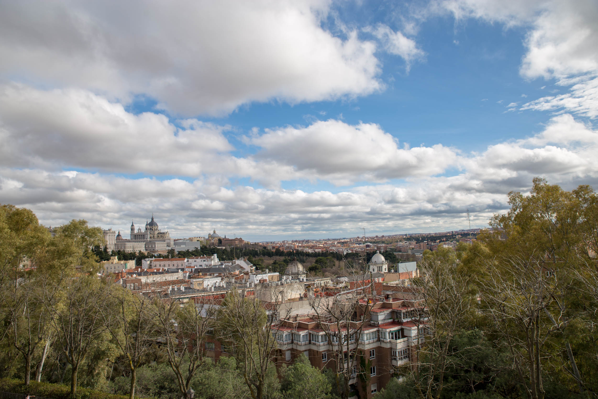 madrid-8291-web.jpg