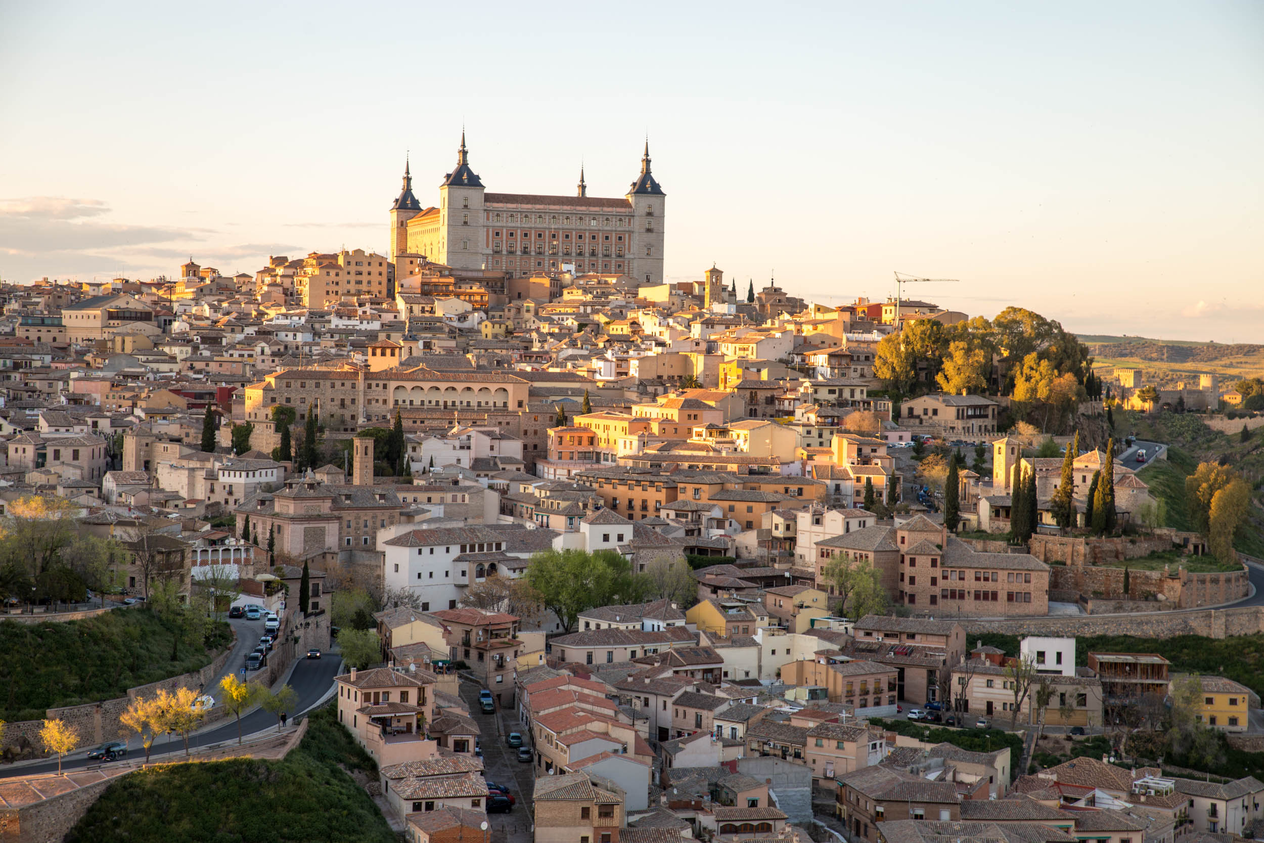 toledo-8138-24-web.jpg